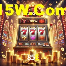 VIP Casino 85E